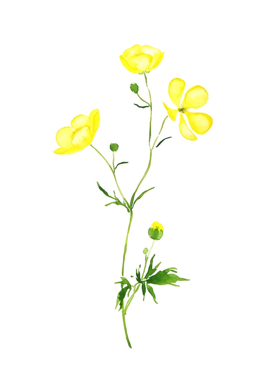 Sunlit Meadows no.10