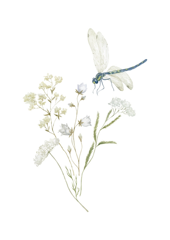 Colourful Meadow no.29