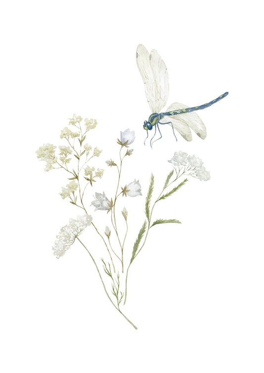 Colourful Meadow no.29