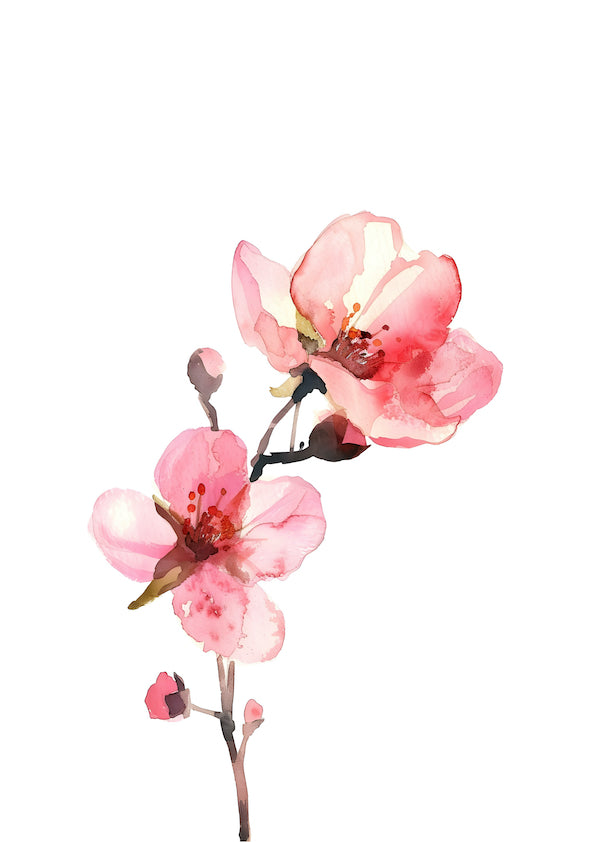 Colourful Meadow no.18