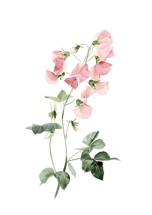 Colourful Meadow no.7