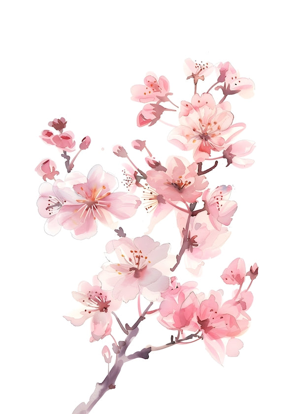 Colourful Meadow no.30