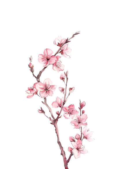 Colourful Meadow no.19