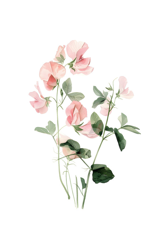 Colourful Meadow no.22