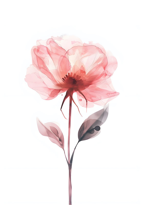 Colourful Meadow no.12