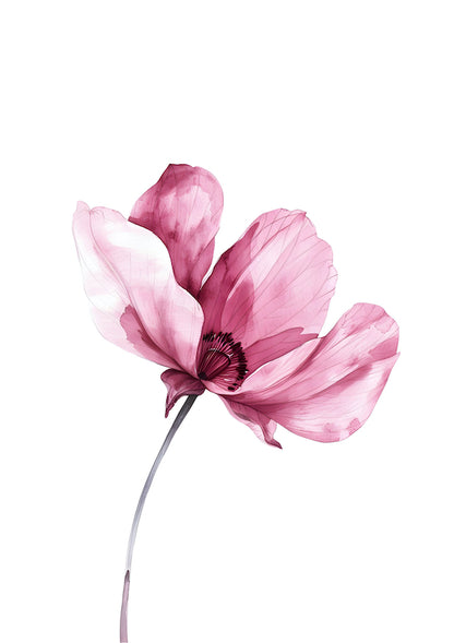 Colourful Meadow no.6