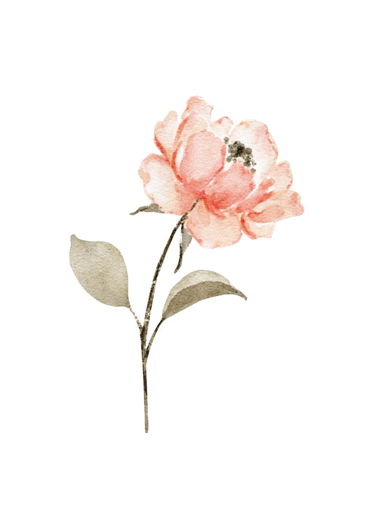 Colourful Meadow no.31