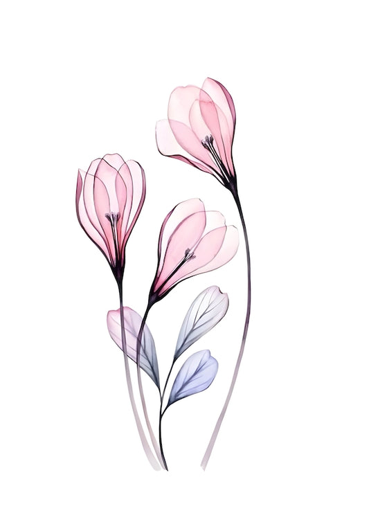 Colourful Meadow no.33