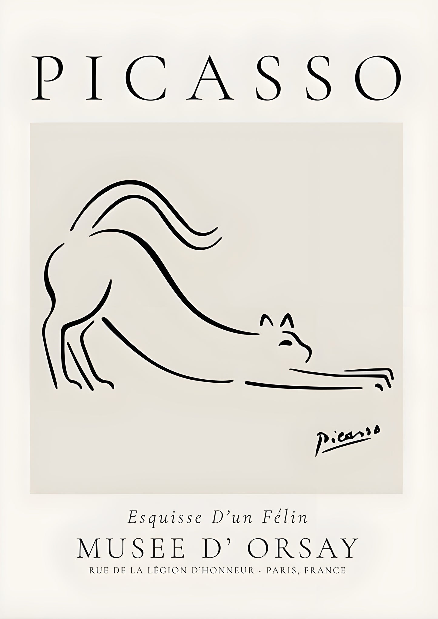 Modern Picasso Poster