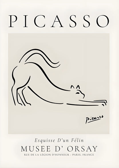 Modern Picasso Poster