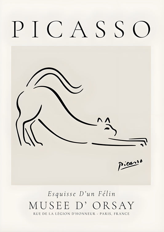 Modern Picasso Poster