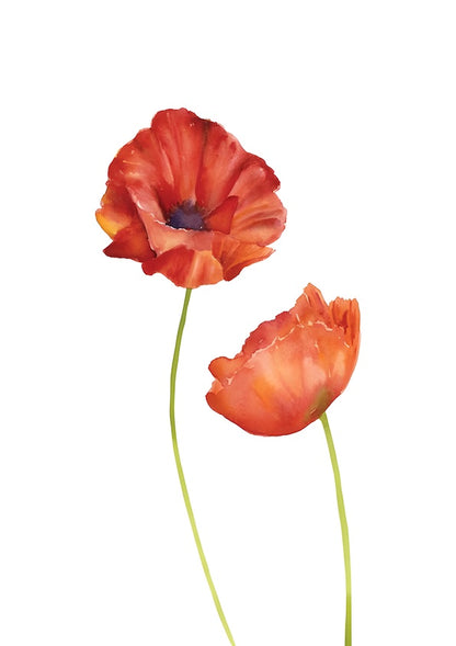 Whispers in red no.11