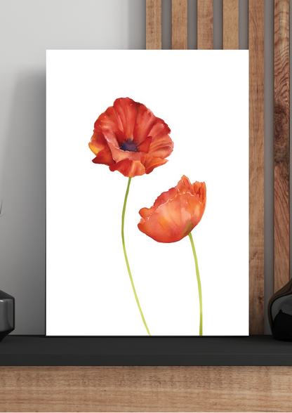 Whispers in red no.11