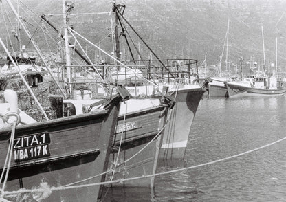 Hout Bay Harbour Boats