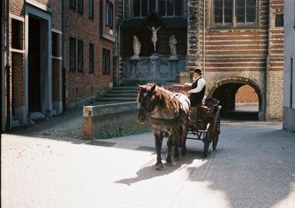 Horse and Carriage